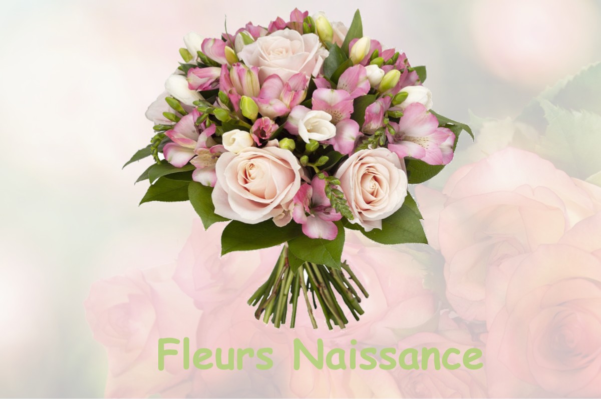 fleurs naissance ORCHAMPS