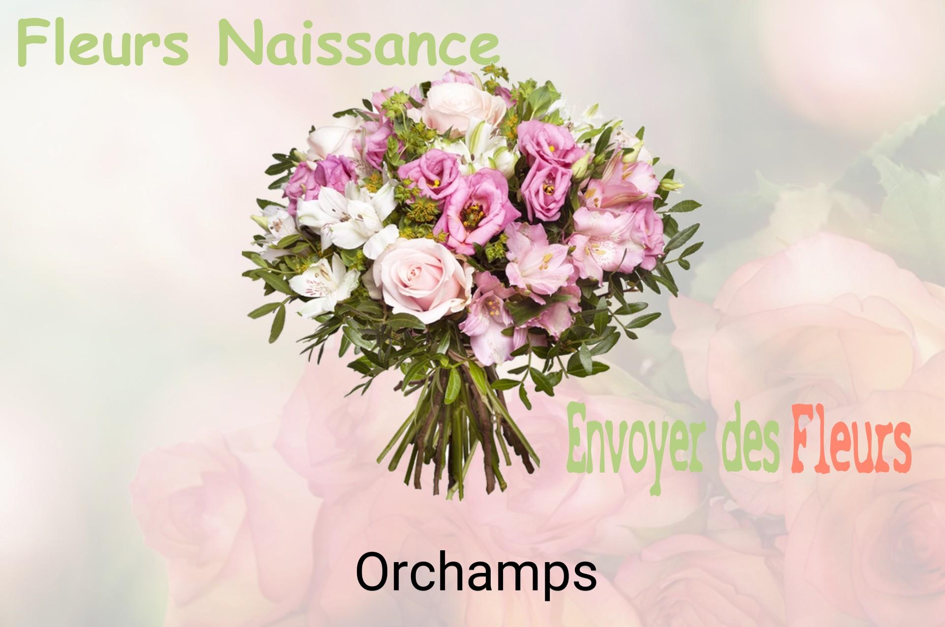 Bouquet de fleurs de naissance livré à Orchamps