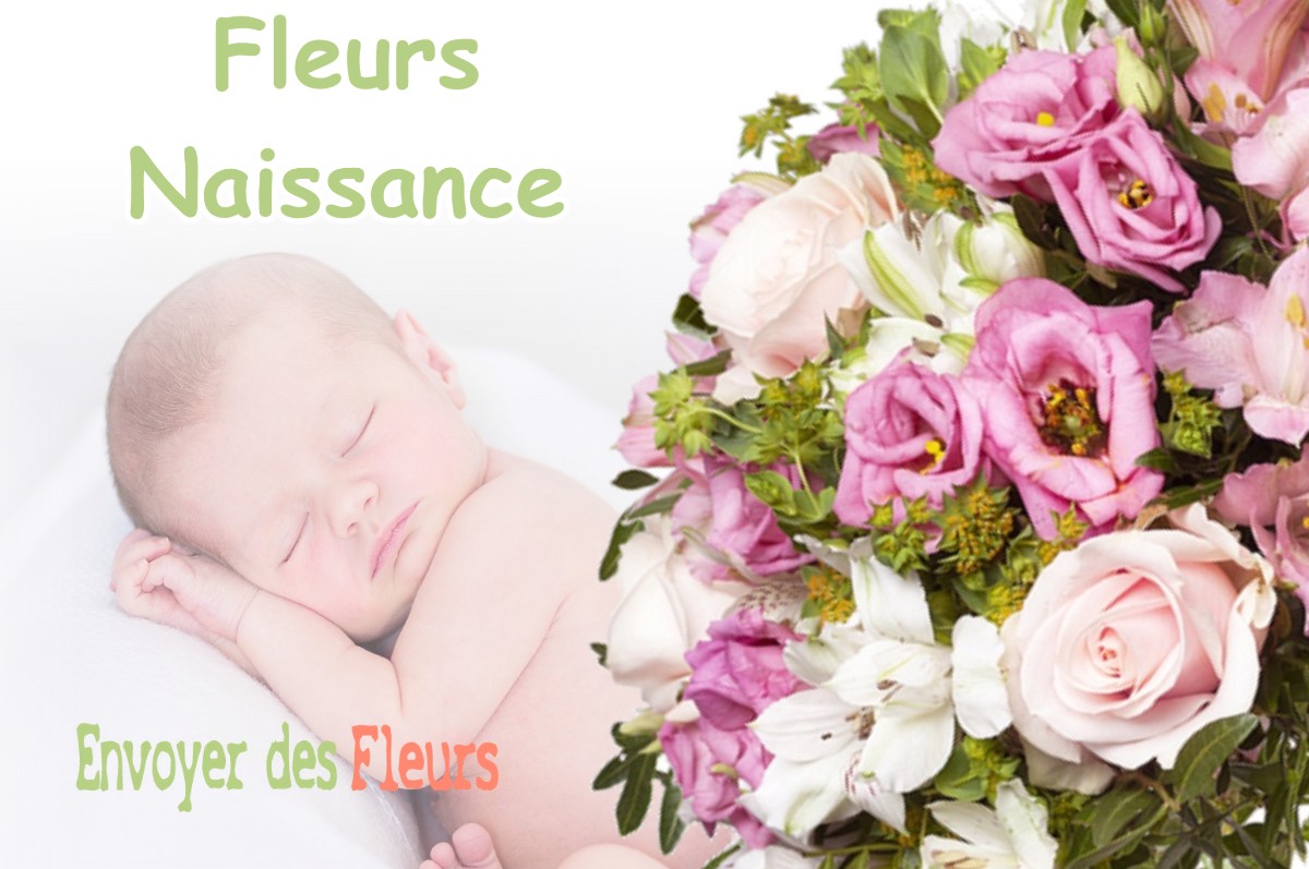 lIVRAISON FLEURS NAISSANCE à ORCHAMPS