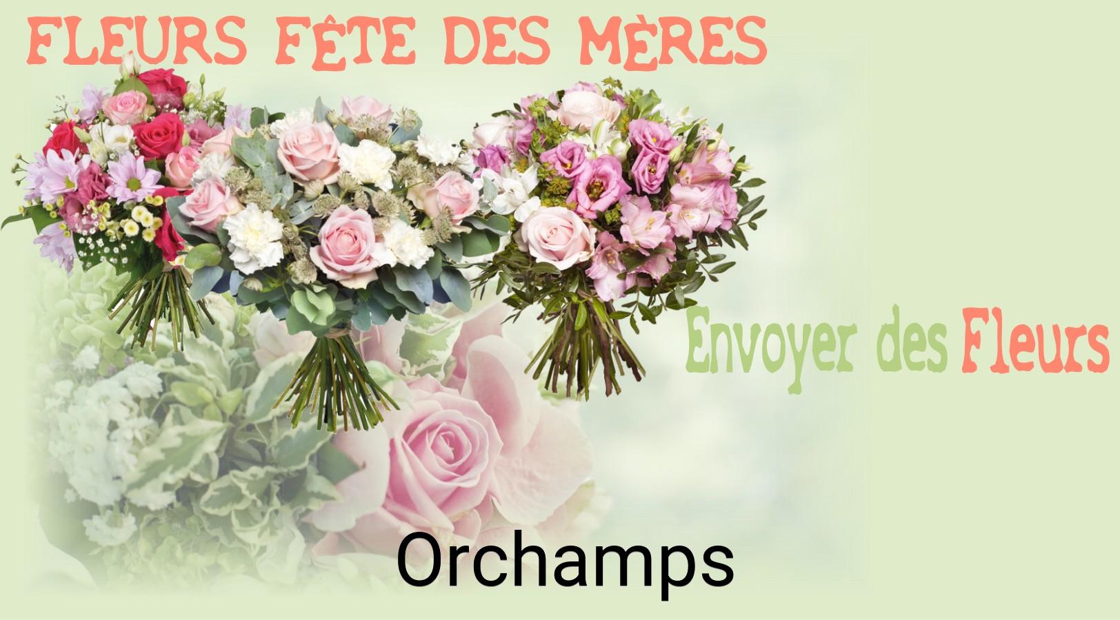 Bouquet de Fête des Mères livré à Orchamps